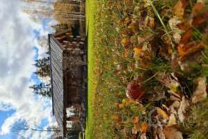 20211018_124631 дома Съёмки Москва