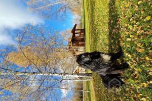 20211018_125610 дома Съёмки Москва