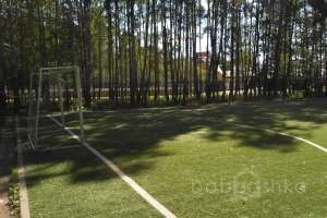 IMG_20170802_102918 поля футбольные Съёмки Москва