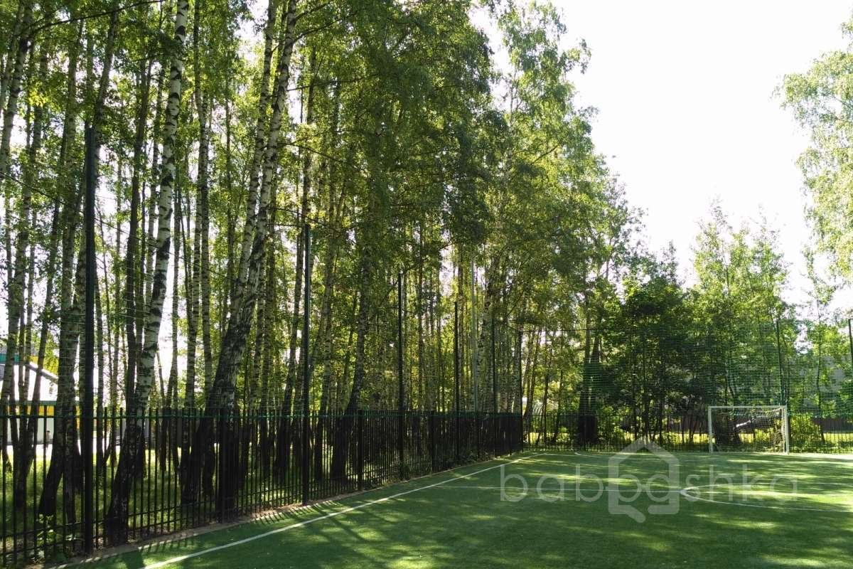 IMG_20170802_102935 поля футбольные 