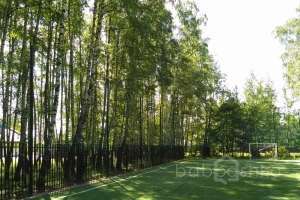 IMG_20170802_102935 поля футбольные Съёмки Москва