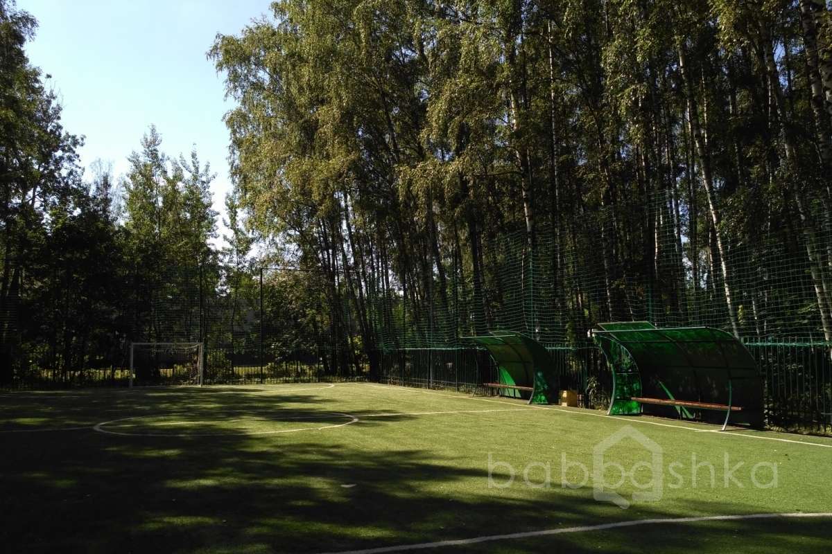 IMG_20170802_102932 поля футбольные 