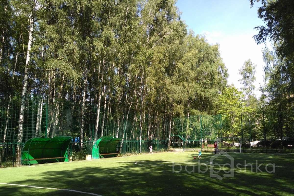 IMG_20170802_103023 поля футбольные 