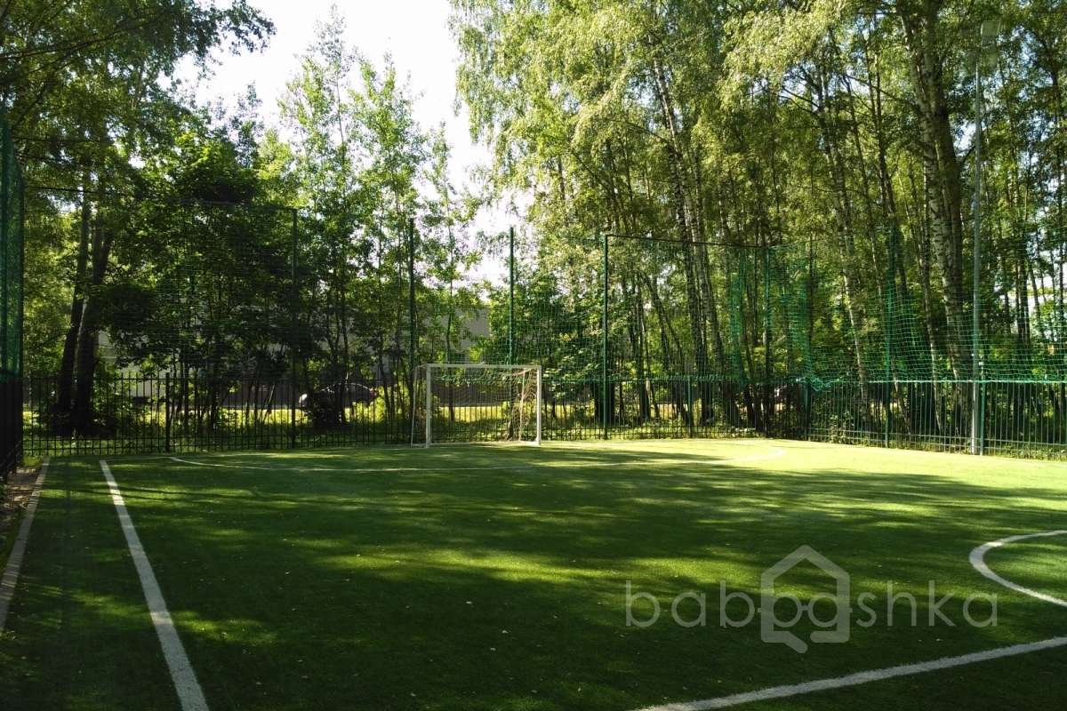 IMG_20170802_102950 поля футбольные 