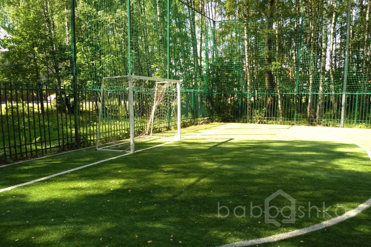 IMG_20170802_103012 поля футбольные 