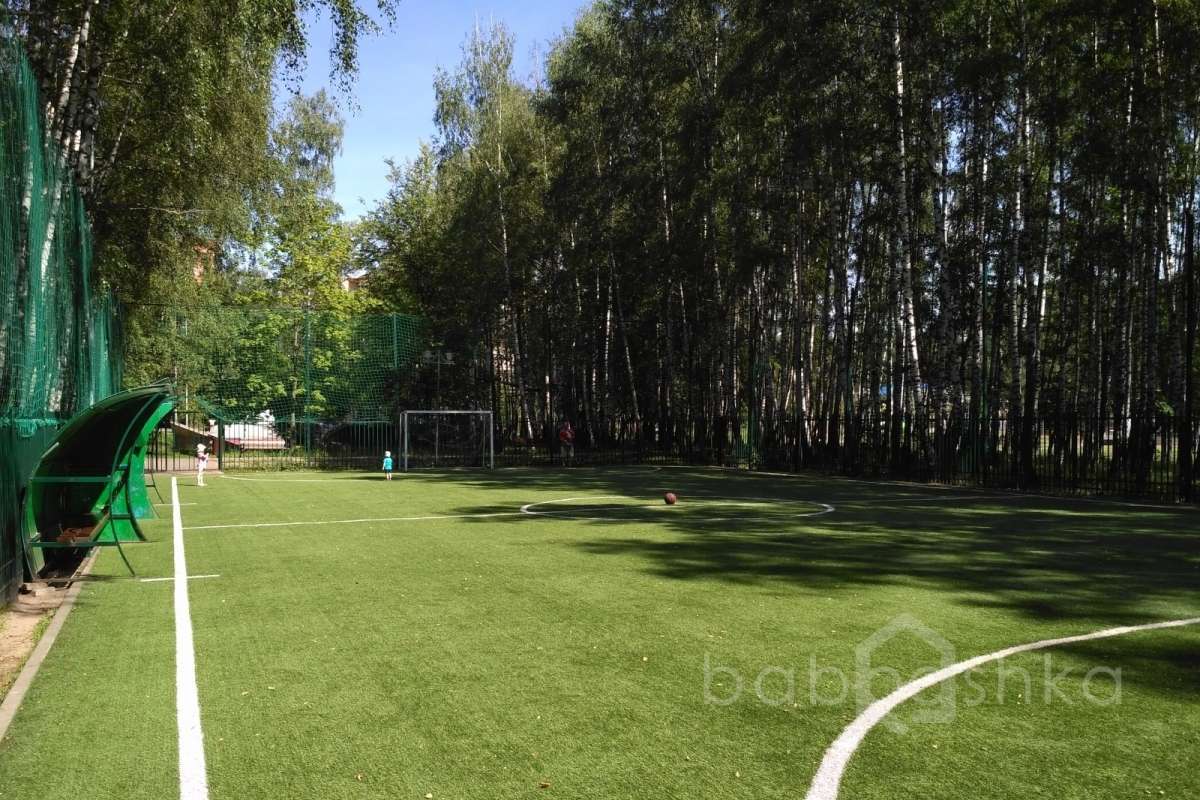 IMG_20170802_103039 поля футбольные 