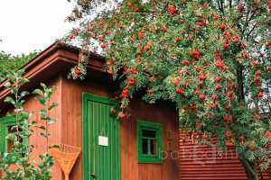 %D0%BF%D0%BF отели и гостиницы Съёмки Москва