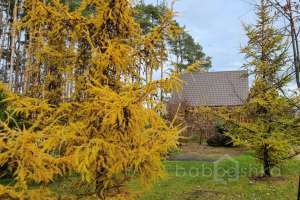 2021-10-15%2011-10-59 отели Съёмки Москва