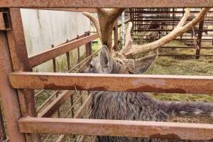 2021-10-15%2011-11-00%20(16) отели Съёмки Москва