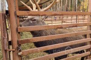 2021-10-15%2011-11-00%20(15) отели Съёмки Москва