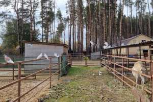 2021-10-15%2011-11-00%20(23) отели Съёмки Москва