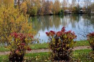 2021-10-15%2011-11-00%20(61) отели Съёмки Москва