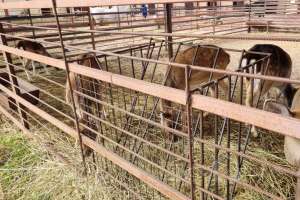 2021-10-15%2011-11-00%20(22) отели Съёмки Москва