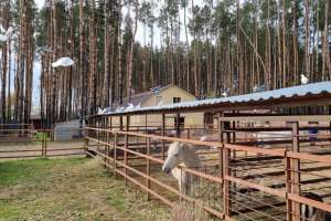 2021-10-15%2011-11-00%20(26) отели Съёмки Москва