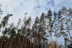 2021-10-15%2011-11-00%20(25) отели Съёмки Москва