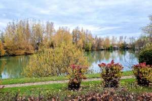 2021-10-15%2011-11-00%20(60) отели Съёмки Москва