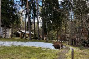 IMG_5184 дома Съёмки Москва