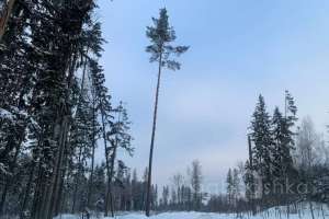 photo_2022-01-11_15-03-02 заводы Съёмки Москва