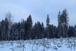 photo_2022-01-11_15-03-05 заводы Съёмки Москва