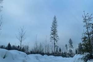 photo_2022-01-11_15-03-07 заводы Съёмки Москва