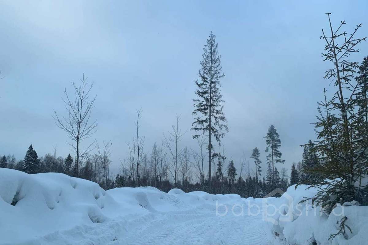 photo_2022-01-11_15-03-08 заводы 