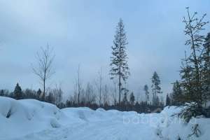 photo_2022-01-11_15-03-08 заводы Съёмки Москва