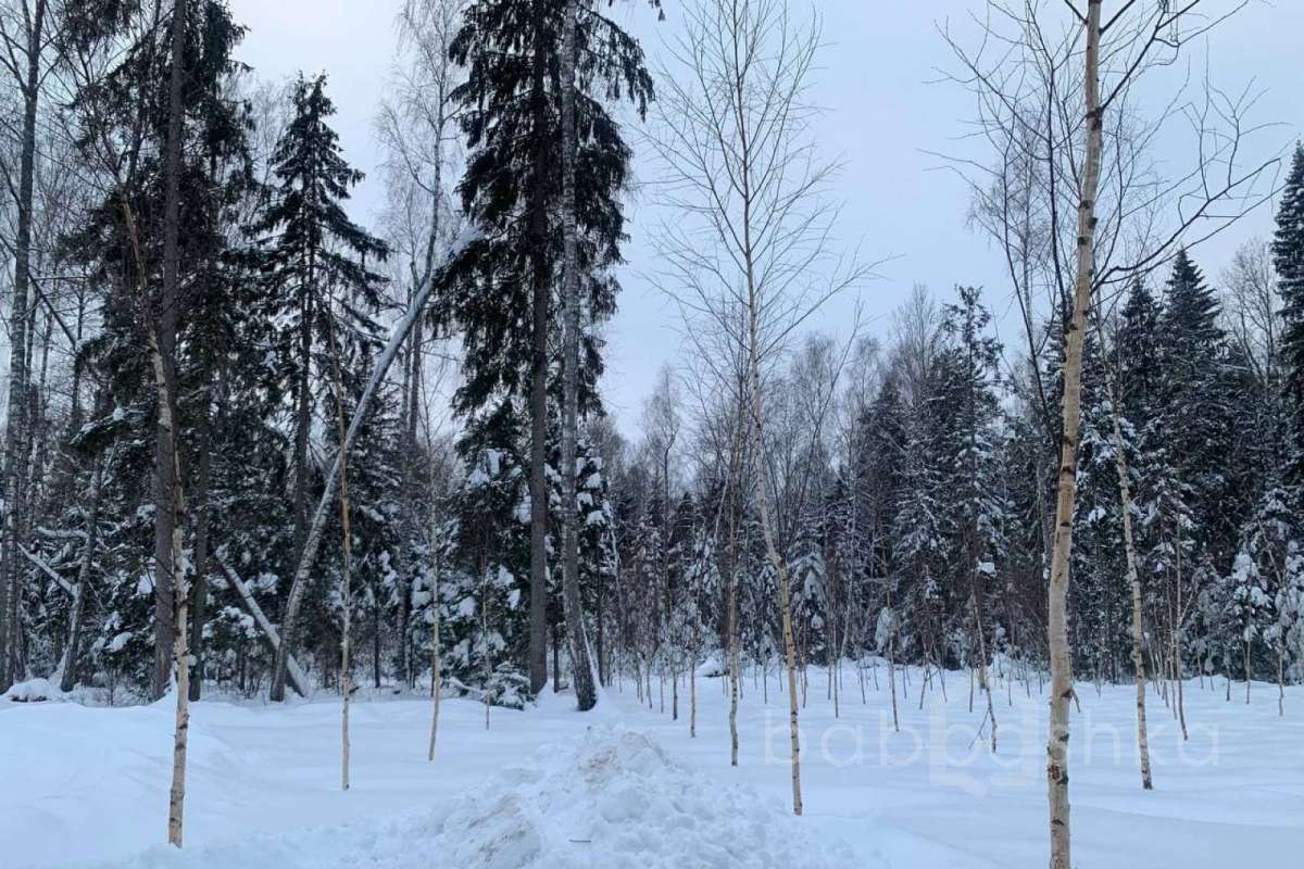 photo_2022-01-11_15-03-13 заводы 