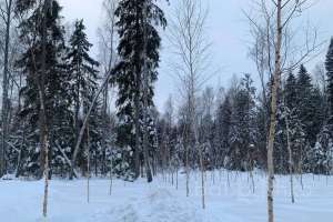 photo_2022-01-11_15-03-13 заводы Съёмки Москва