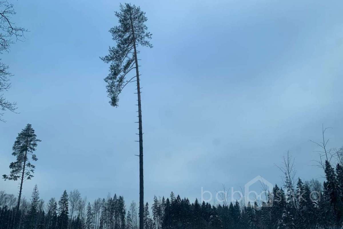 photo_2022-01-11_15-03-20 заводы 