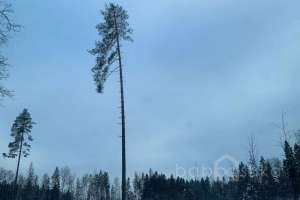 photo_2022-01-11_15-03-20 заводы Съёмки Москва