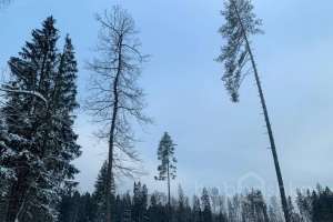 photo_2022-01-11_15-03-16 заводы Съёмки Москва