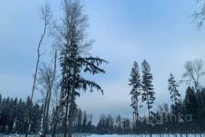 photo_2022-01-11_15-03-06 заводы Съёмки Москва