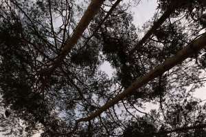 IMG_5398 дома Съёмки Москва