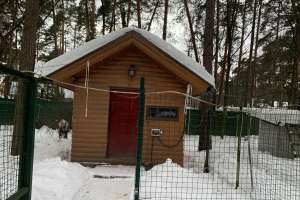 IMG_5328 дома Съёмки Москва