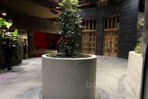 IMG_1843 арт-кластер Съёмки Москва