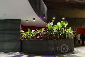 IMG_1845 арт-кластер Съёмки Москва