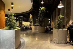 IMG_1858 арт-кластер Съёмки Москва