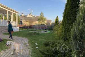 IMG_4862 дома Съёмки Москва