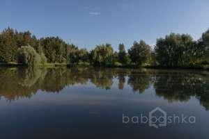 WhatsApp%20Image%202022-06-09%20at%2014.11.49. отели Съёмки Москва