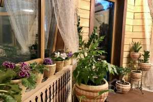 IMG_2416 дворцы и усадьбы Съёмки Москва