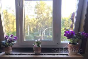 IMG_2573 дворцы и усадьбы Съёмки Москва