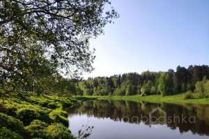 PHOTO-2022-08-22-10-42-01%20(3) квартиры Съёмки Москва