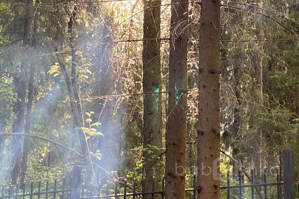 39E5F696-EF33-4E83-BB58-BA46E04B9323 дома 