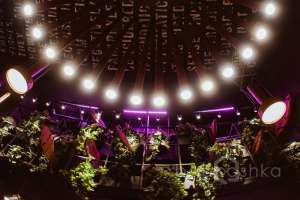 10 рестораны Съёмки Москва