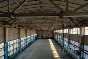 photo_2022-10-18_16-06-29 ангары Съёмки Москва