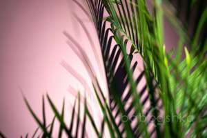 DSC01756 территория Съёмки Москва