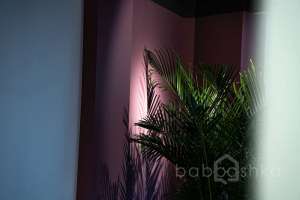 DSC01778 территория Съёмки Москва