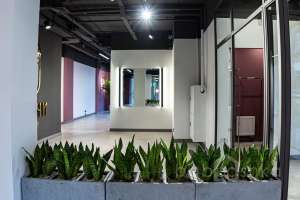 DSC01714 территория Съёмки Москва