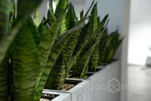 DSC01759 территория Съёмки Москва