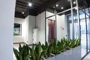 DSC01716 территория Съёмки Москва